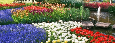 Holland - Putten
