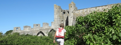 Gotland - Middelalder og eksotiske landskaber