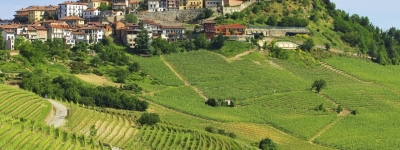 Vinrejse - Barolo og Valpolicella
