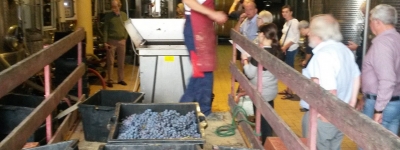 Vinrejse - Barolo og Valpolicella