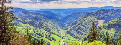 Schwarzwald – bugter sig i bakkedal