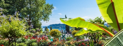 Schwarzwald – bugter sig i bakkedal