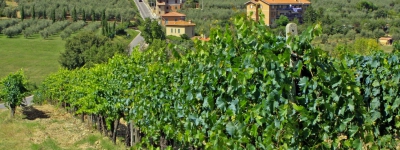Vinrejse - Brunello og Chianti
