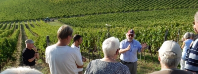 Vinrejse - Brunello og Chianti