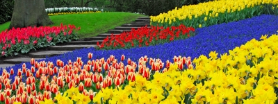 Flodkrydstogt, Holland og Belgien