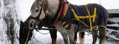 Jul i Tyrol hos Hauserwirt