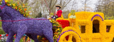 Holland - Blomsterparade i Keukenhof