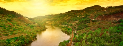 Flodkrydstogt på Douro i Portugal