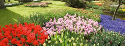 Blomsterparade og flodkrydstogt i Holland