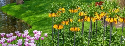 Holland - Apeldoorn