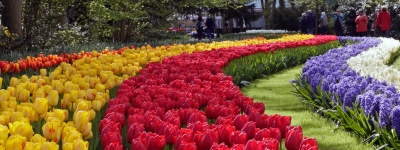 Holland - Apeldoorn