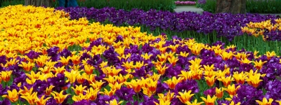 Holland - Apeldoorn