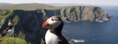 Shetland, Orkney og Skotlands Nordvestkyst
