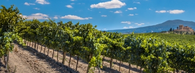 Toscana - 14 dage