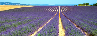 Sydfrankrig - Provence og Côte d'Azur