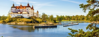 Den magiske Tranedans - Sk&oslash;nne for&aring;rsdage ved Hornborgasj&ouml;n 