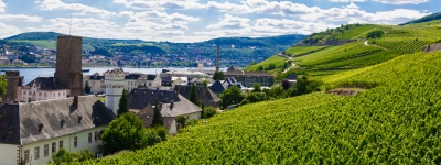 Rhinen - Rüdesheim