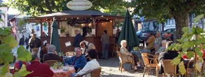 Rhinen - Rüdesheim