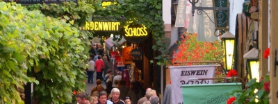 Rhinen - Rüdesheim