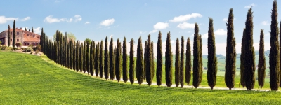 Toscana - Chiantivinens land
