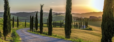 Toscana - Chiantivinens land