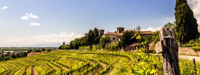 Toscana - Chiantivinens land