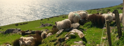 Irland - Atlanterhavets grønne ø