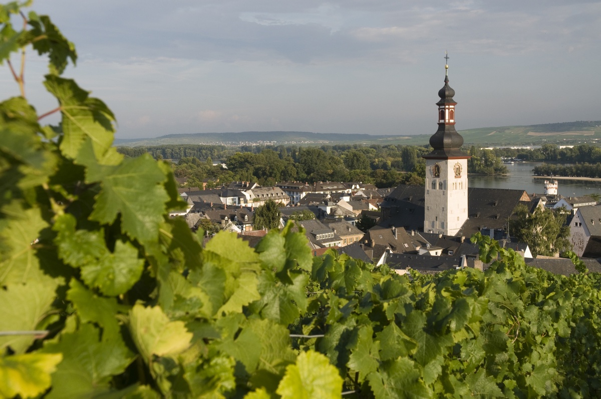 Om formiddagen på rejsens 2. dag, sejler vi på den mest romantiske strækning af Rhinen mellem Koblenz og Rüdesheim. Her møder vi de stejle bjergskråninger og får rigtig fornemmelsen af at sejle i en floddal. Billedet veksler mellem vinmarker, borge og småbyer, og vi føler os mange gange hensat til en helt anden tid