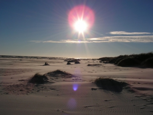 Dejlige dage venter på Solskinsøen