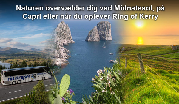 Riis Rejser