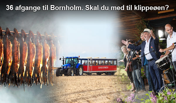 Riis Rejser