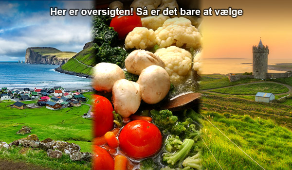 Riis Rejser