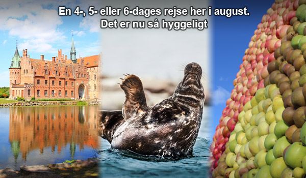 Riis Rejser