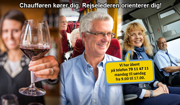 Riis Rejser