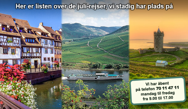 Riis Rejser