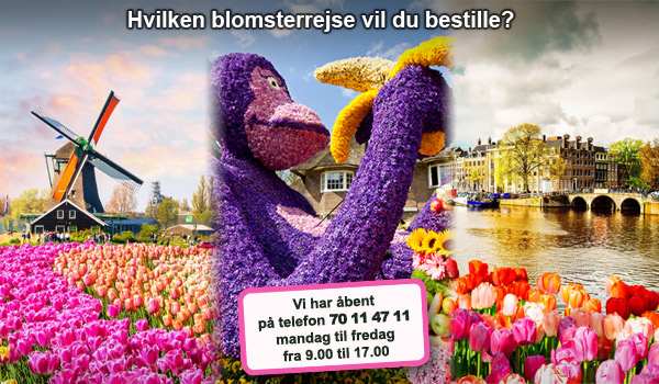 Riis Rejser