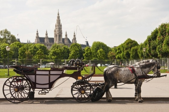 Wien er elegance og måske den mest elegante af alle europæiske storbyer. Her finder vi europæisk kulturhistorie, når den er allermest rendyrket