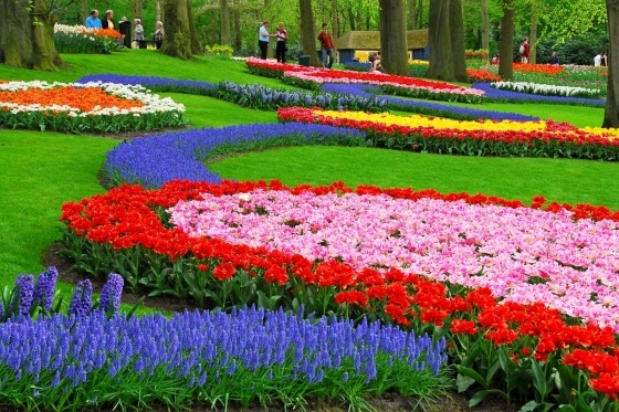 Der venter os en indholdsrig miniferie på dette herlige flodkrydstogt, som vi har kombineret med et besøg ved det populære ostemarked i Alkmaar og en mulighed for at opleve den storslåede blomsterpark Keukenhof