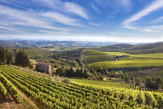 I den italienske region Toscana finder vi en verden af skønhed, kunst, kultur og livsglæde, der næppe har sin lige nogen andre steder. I den maleriske og bakkede natur finder vi byer, der har været arnested for vigtige epoker i vores historie og kulturarv