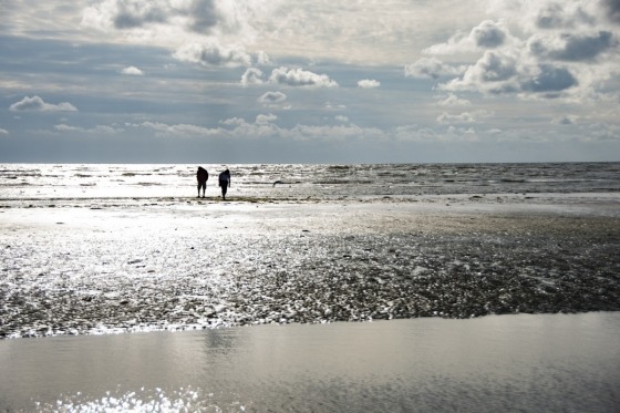 Under denne overskrift rejser vi på skønne ø-oplevelser i Syd- og Sønderjylland. En dejlig, hyggelig og tryg rejse med mange interessante oplevelser i det smukke kystdanmark. Glæd dig til at opleve såvel Lillebælt som Vadehavet