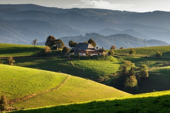 I det sydvestlige hjørne af Tyskland, i delstaten Baden-Württemberg, finder vi Tysklands største sammenhængende skovområde, Schwarzwald, som på dansk betyder ”Sorteskoven”. Vi glæder os til at vise dig denne herlige plet på jorden, så du også kan opleve, hvor frydefuldt og afslappende livet leves her