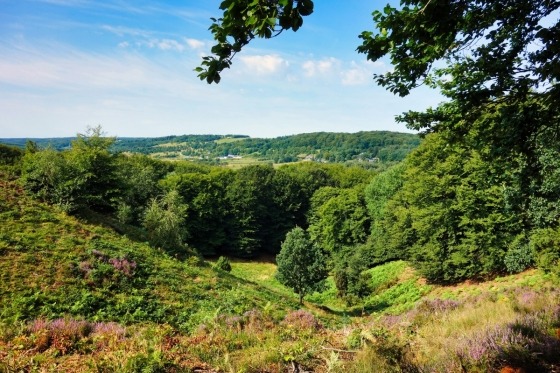 I februar 2023 åbnede Nordjyske Museer en ny dansk attraktion, Koldkrigsmuseet REGAN Vest i Rold Skov