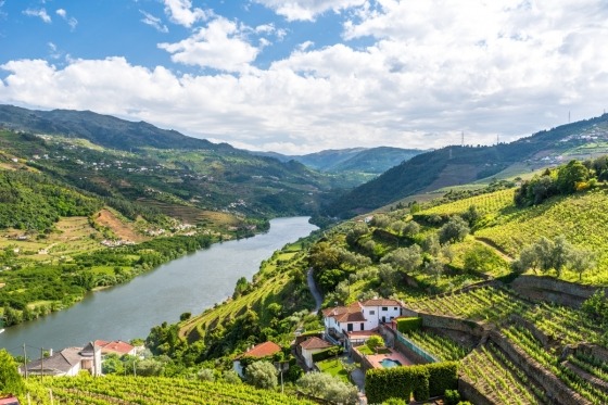 Oplev den storslåede Douroflod i Portugal på dette skønne flodkrydstogt. Nyd en fantastisk og oplevelsesrig rejse gennem imponerende landskaber og steder med stor historisk og kulturel betydning
