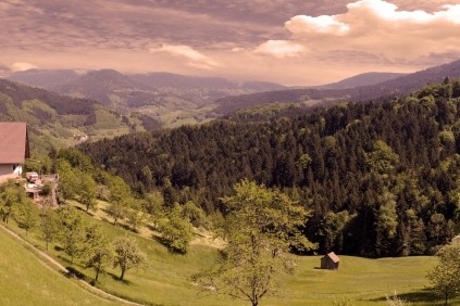 Velkommen på en fantastisk rejse til Schwarzwald