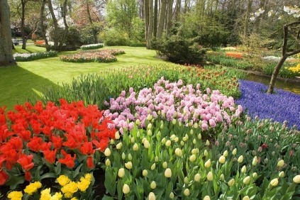 Velkommen på blomsterparaderejse til Holland